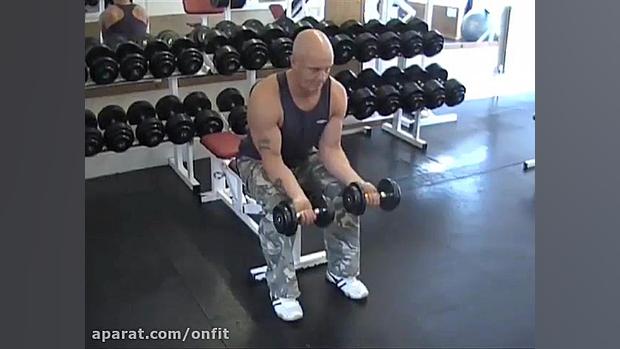 ساعد نشسته دمبل جفت دست