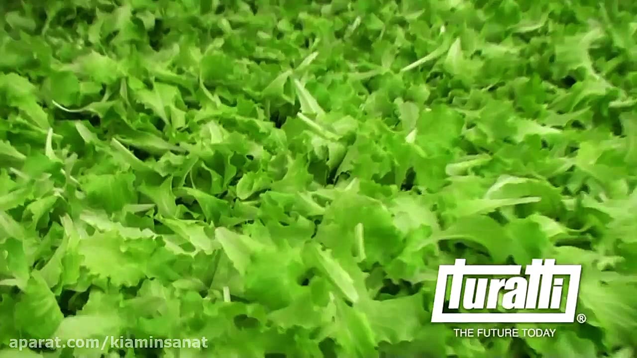 خط خشک کن سبزی