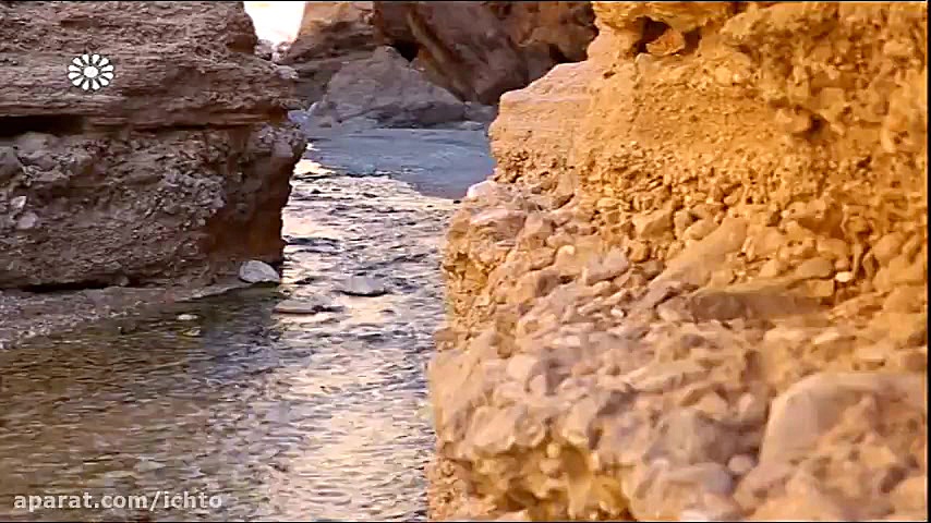 چشمه آبگرم مرتضی علی