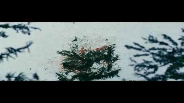 گرگ های وحشی