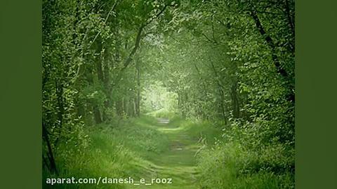 موسیقی کلاسیک | باخ | هوا