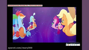 pony