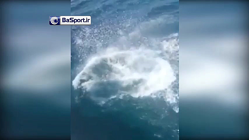 شیرجه نمایشی سرخیو راموس در آب...