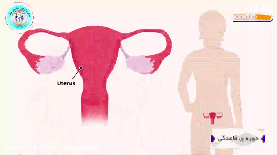 اطلاعات حیاتی از قاعدگی ماهیان...