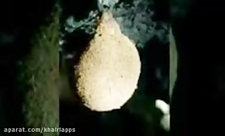 کسب درامد میلیاری از اپلیکیشن...