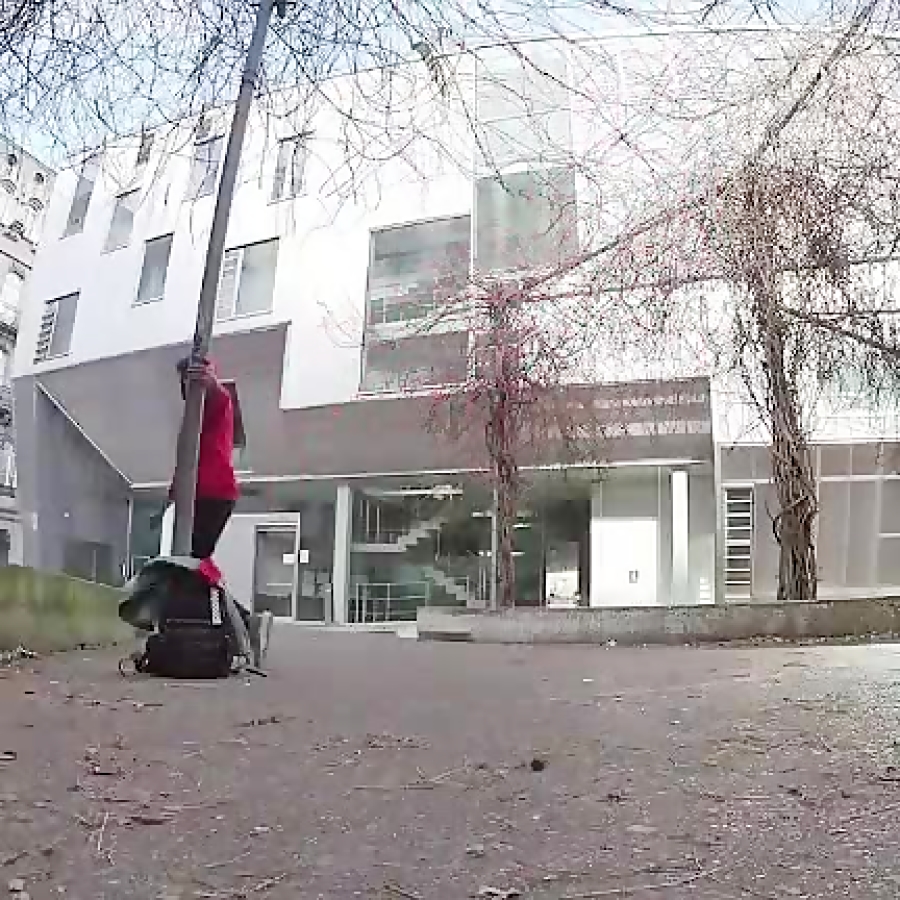 شافل دنس (حرفه ای)