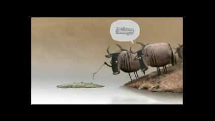 تمساح هسته...شــــک نکن..