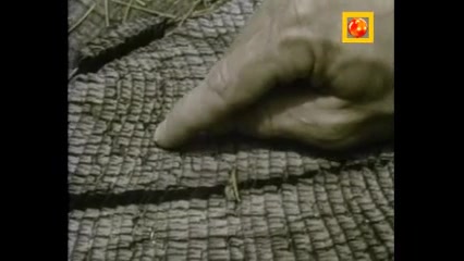 جلوه های علم و فناوری