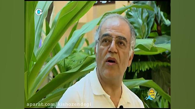 از جنوب ایران  تابستون سفر كجا...