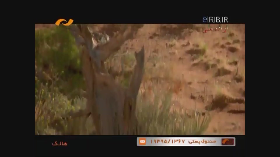 فیلم تخیلی[هالک 1]قسمت 6| دوبل...