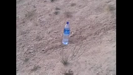 هدف زنی با تفنگ بادی کرال