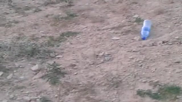 هدف زنی با تفنگ بادی