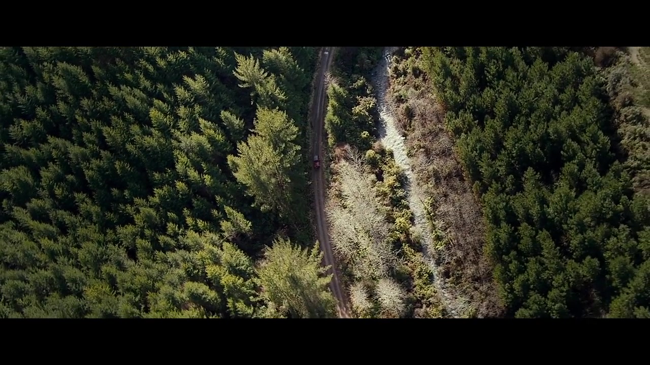 فیلم Evil Dead 2013 پارت 2