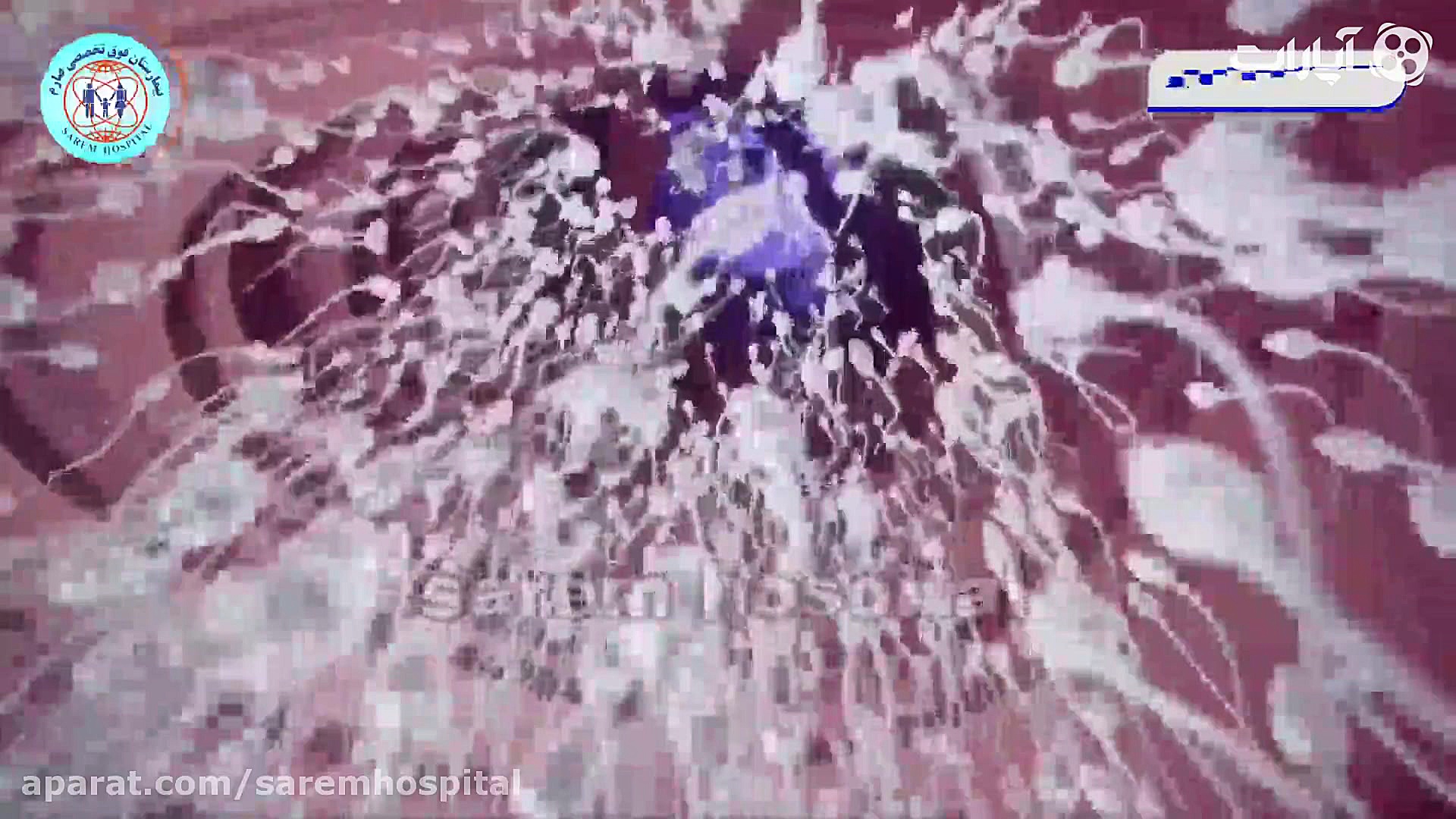 داستان رقابت اسپرم ها برای رسی...