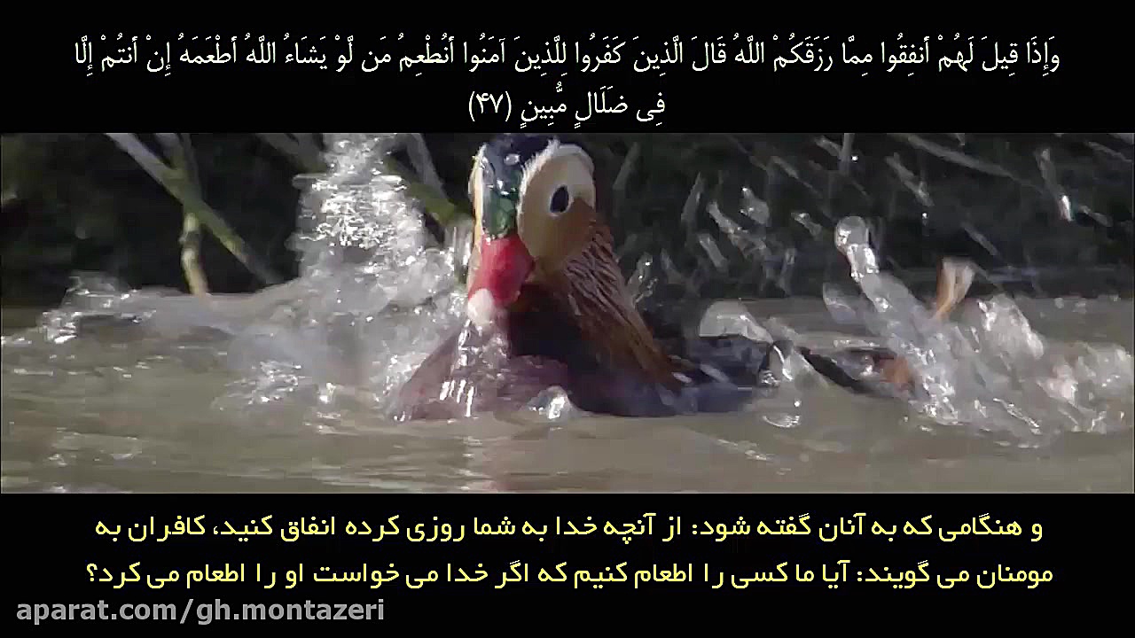 سوره یاسین صوتی و تصویری (سعد...