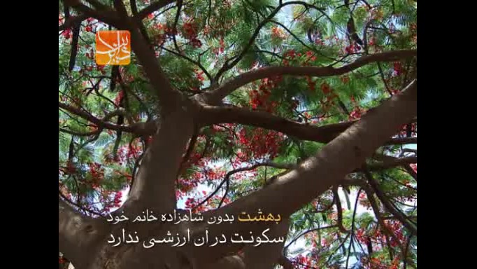 حوریه از ملاباسم کربلایی