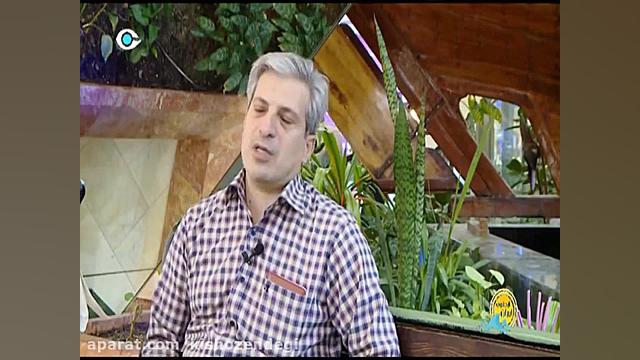 از جنوب ایران  سفر به كیش  جزی...