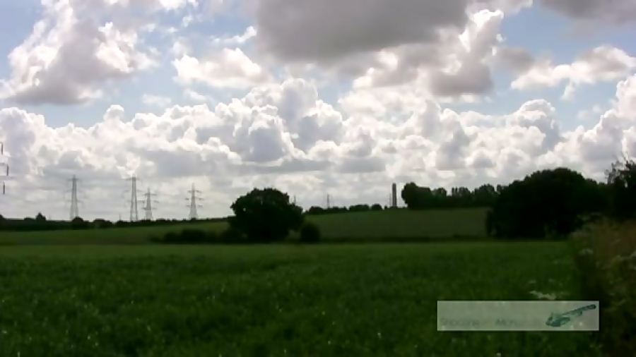 شکار کبوتر چنگلی