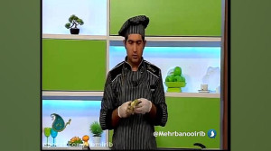 آشپزی: گوجه شامی بادمجان
