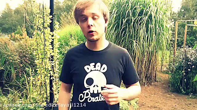 10 غذای آلمانی