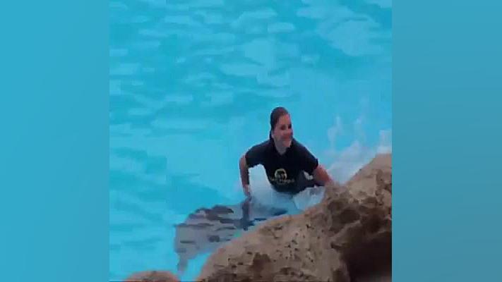 لختی برای استراحت حرکات زیبای...