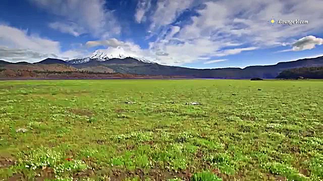 پارک ملی کونگوئیلیو  کشور شیلی