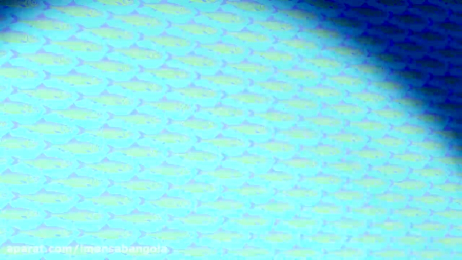 Oggy and the Cockroaches Sport Fans S04E26 Full Episode in HD YouTube