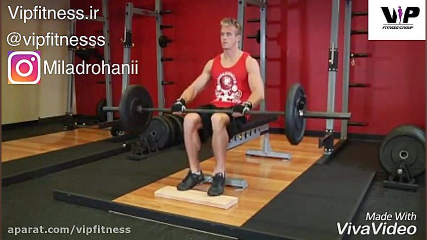 ساق پا نشسته با هالتر