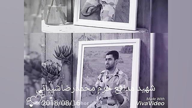 شهیدمدافع حرم محمدرضاشیبانی