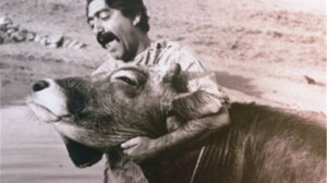 مروری بر کارنامهٔ سینمایی عزت...
