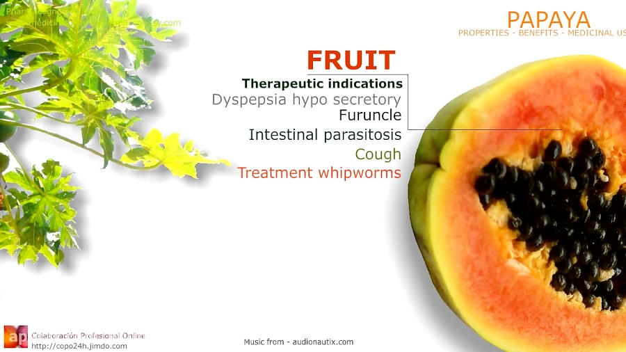 Papaya benefits. Properties an...