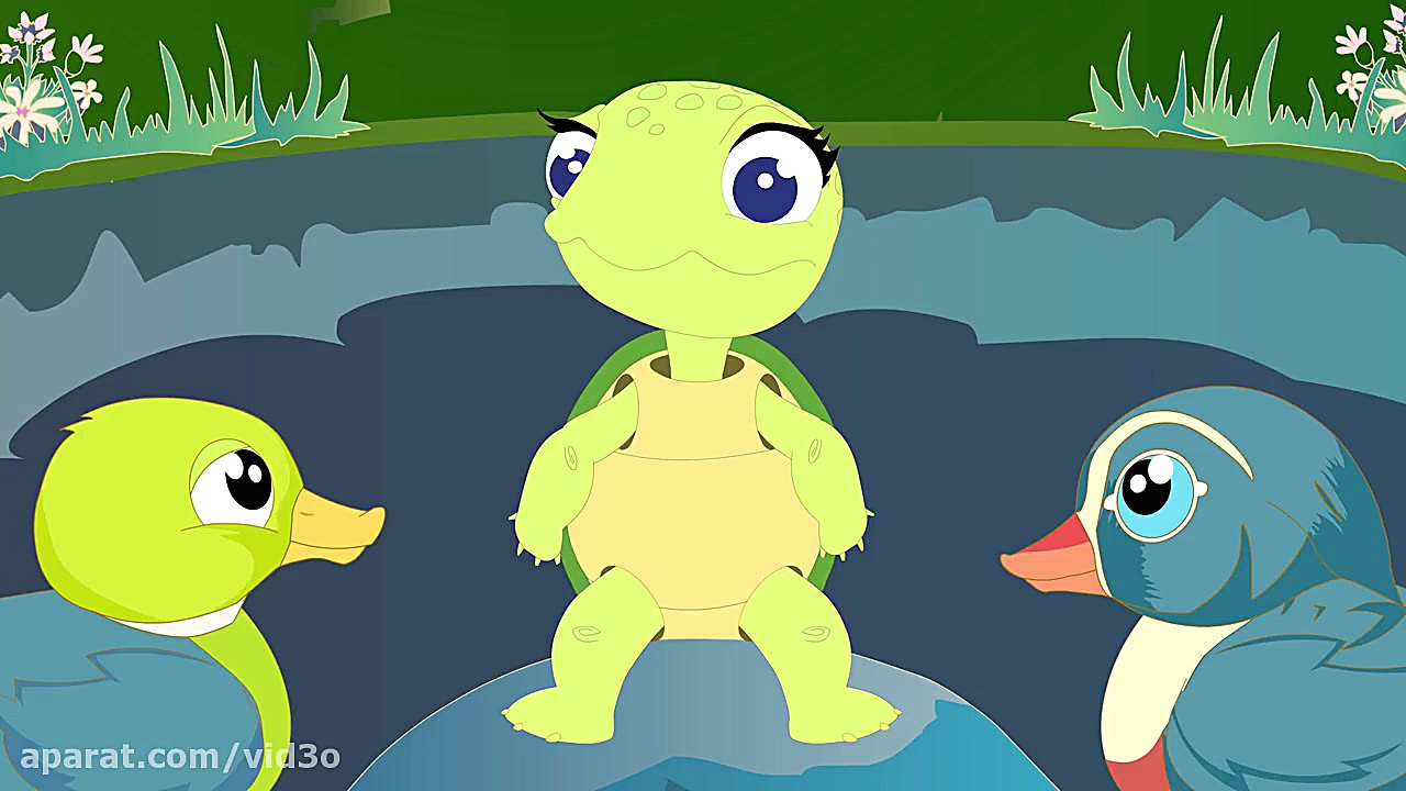 The Talkative Tortoise | Bed T...