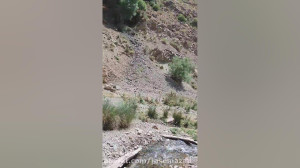 روستای جابان آبسرد