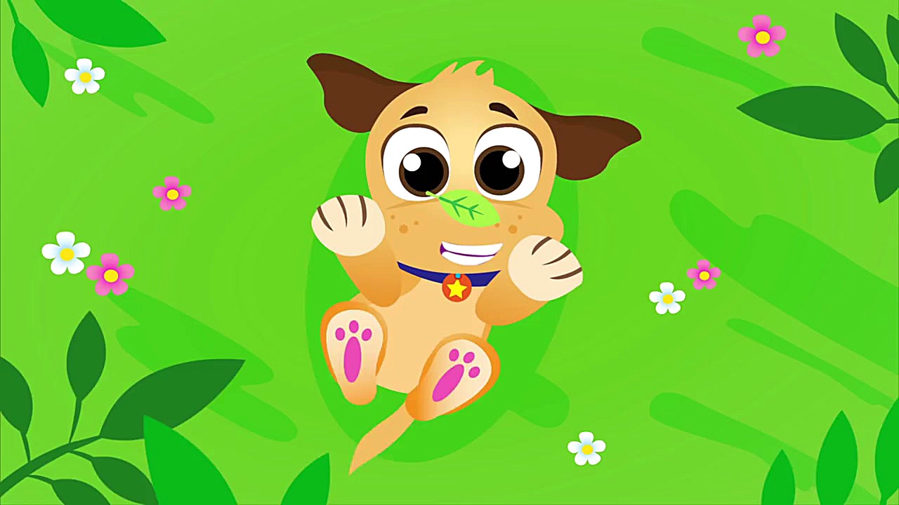 Where Is My Pineapple Crown? H...