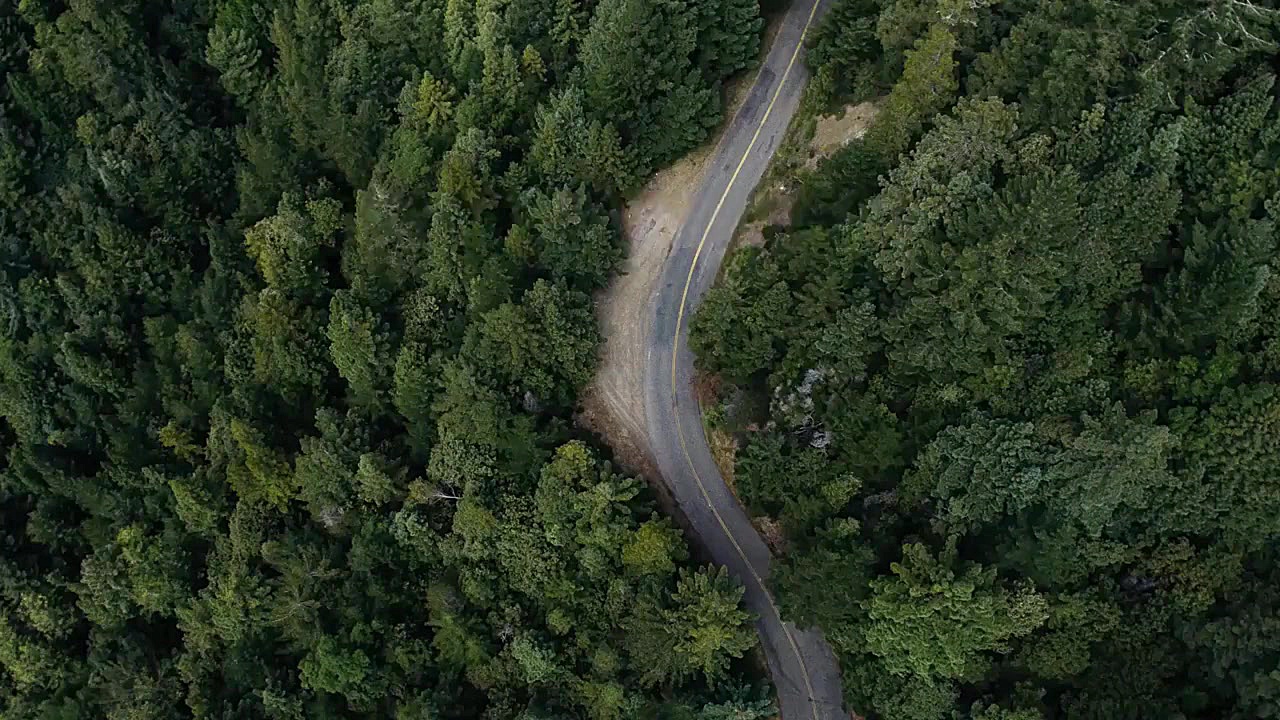 Minimal Dynamic Typography (Vi...