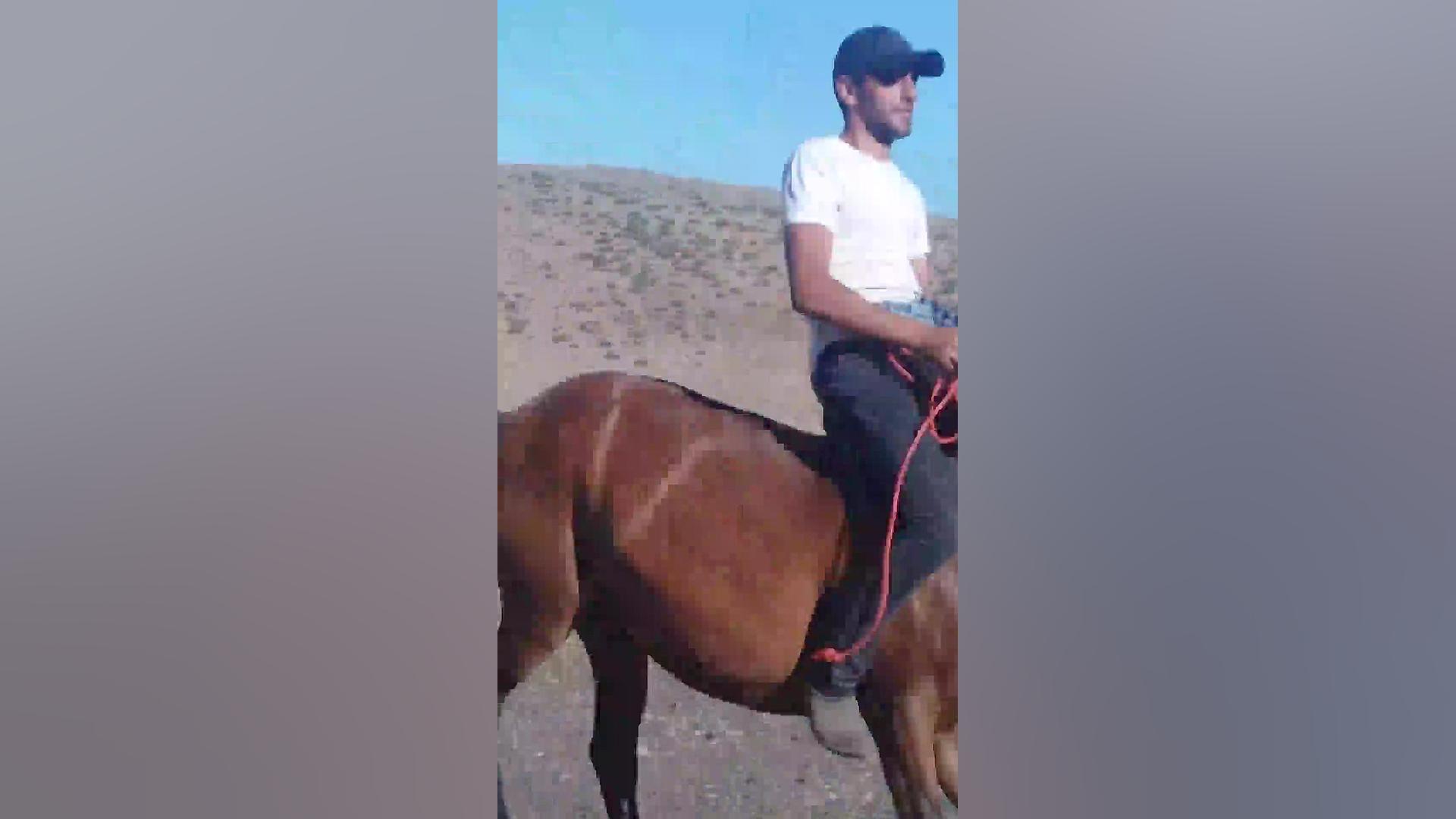 سواری با دیلا خانوم