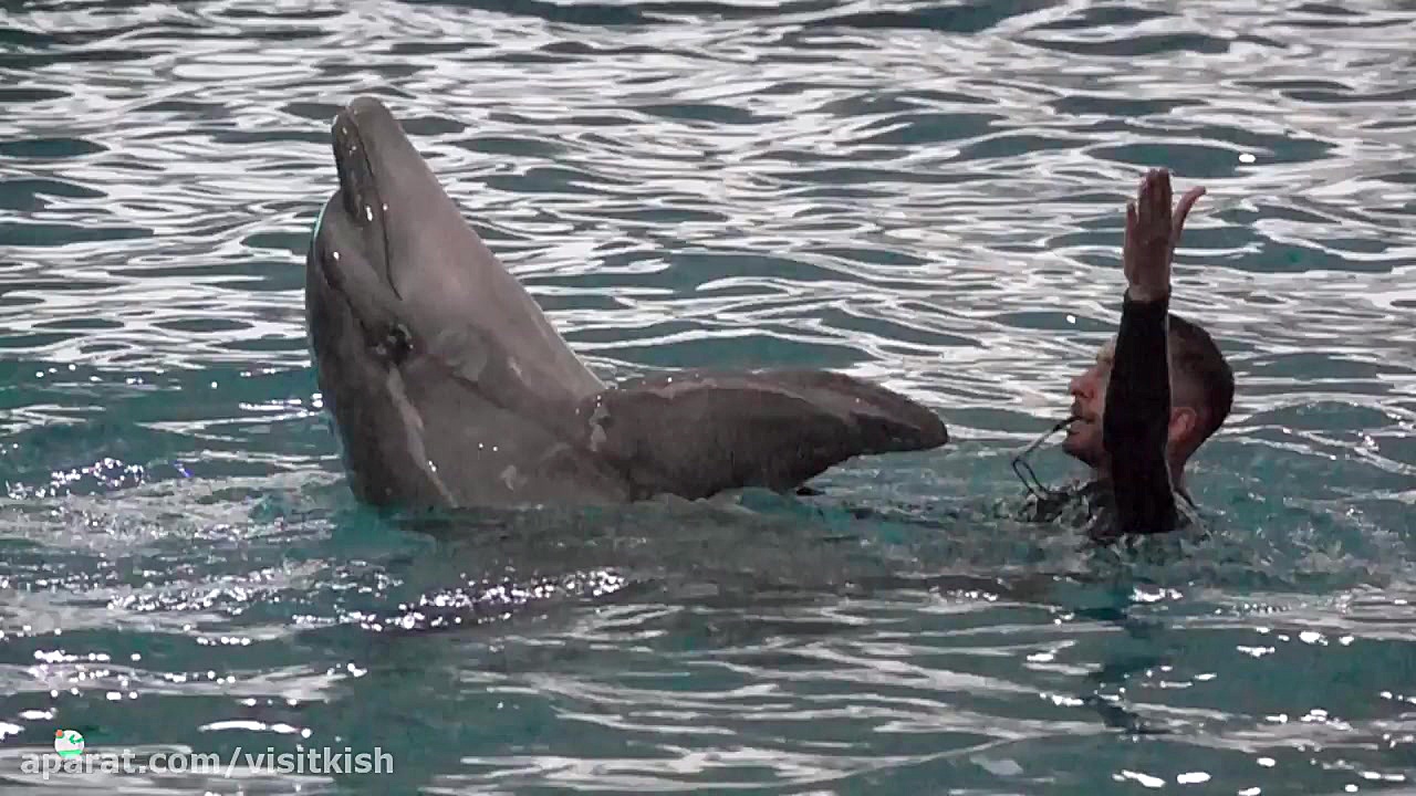 جاذبه های گردشگری جزیره کیش