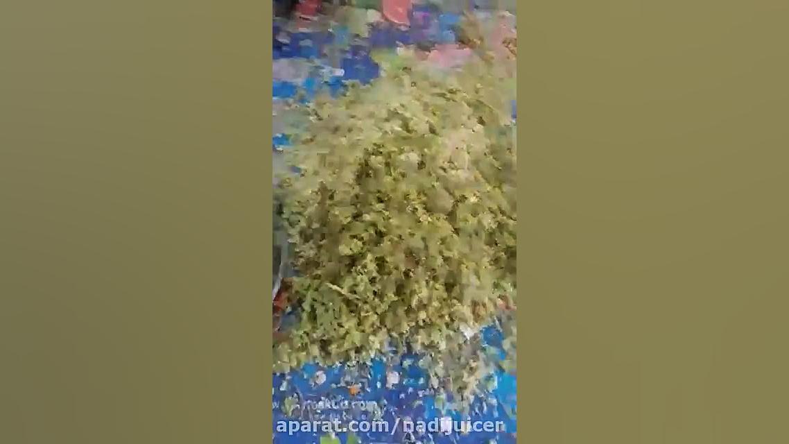 گرفتن آب انگور با دستگاه نادی