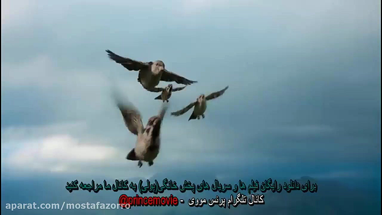 دانلود انیمیشن نبرد خرگوش ها با دوبله فارسی Peter Rabbit زمان60ثانیه