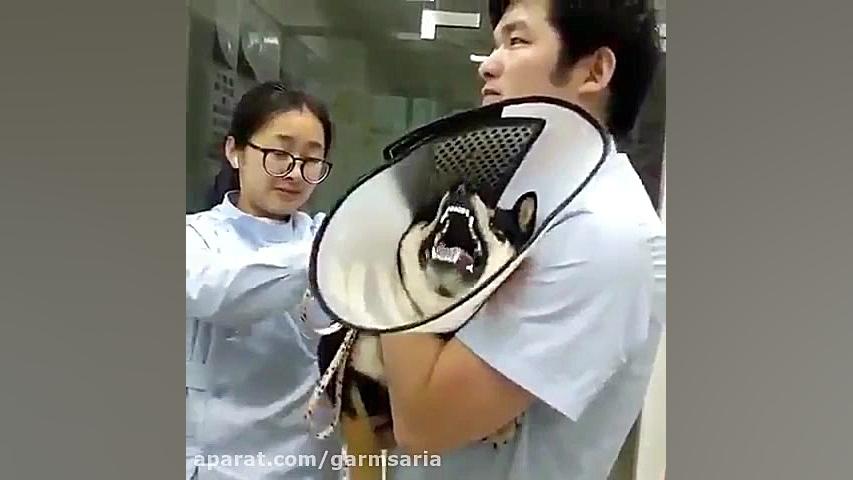 بعد میگن آمپول درد نداره