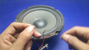 Free Energy 100% || Speaker El...