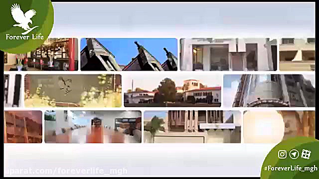 دفاتر شرکت فوراور لیوینگ