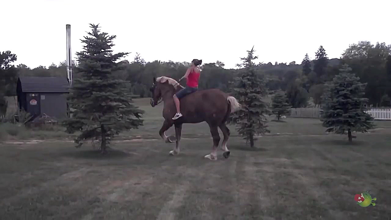 10 حیوان دست آموز بسیار عجیب د...