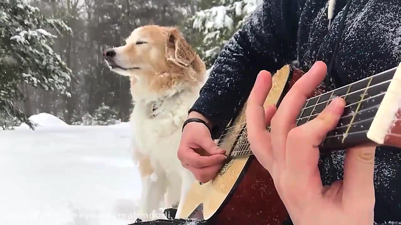 قسمت زیبایی از موسیقی فیلم لال...