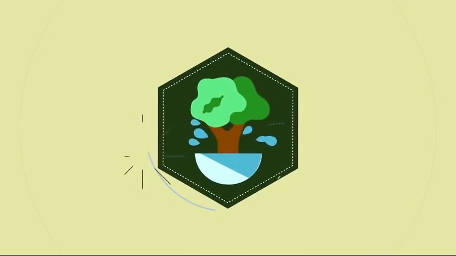 کشت هیدروپونیک گوجه فرنگی