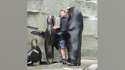 دوستی لذت بخش انسان و حیوان