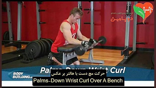 حرکت مچ دست با هالتر برعکس