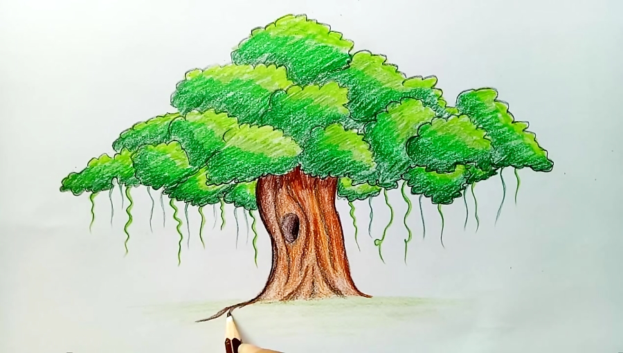 How to Draw a Banyan Tree I Tree Drawing Tutorial I Rio Art Club - YouTube