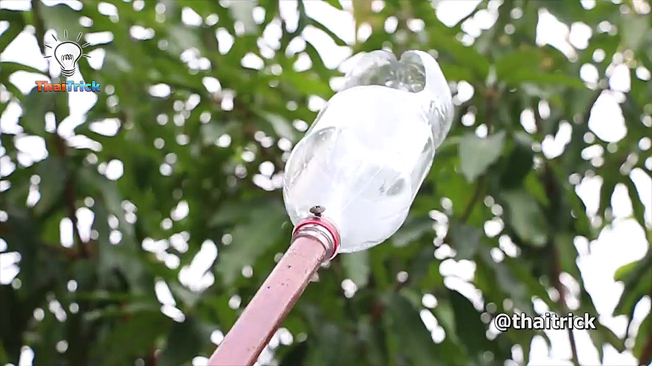 ۳۸ ایده ی جالب با بطری خالی عا...