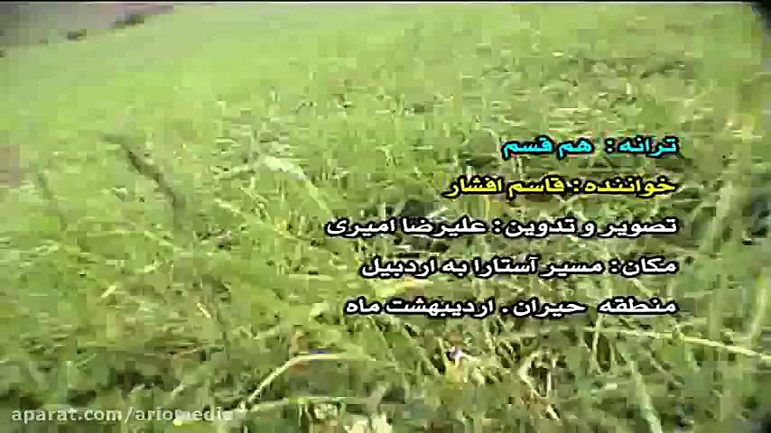 هم قسم &quot;قاسم افشار&quot;